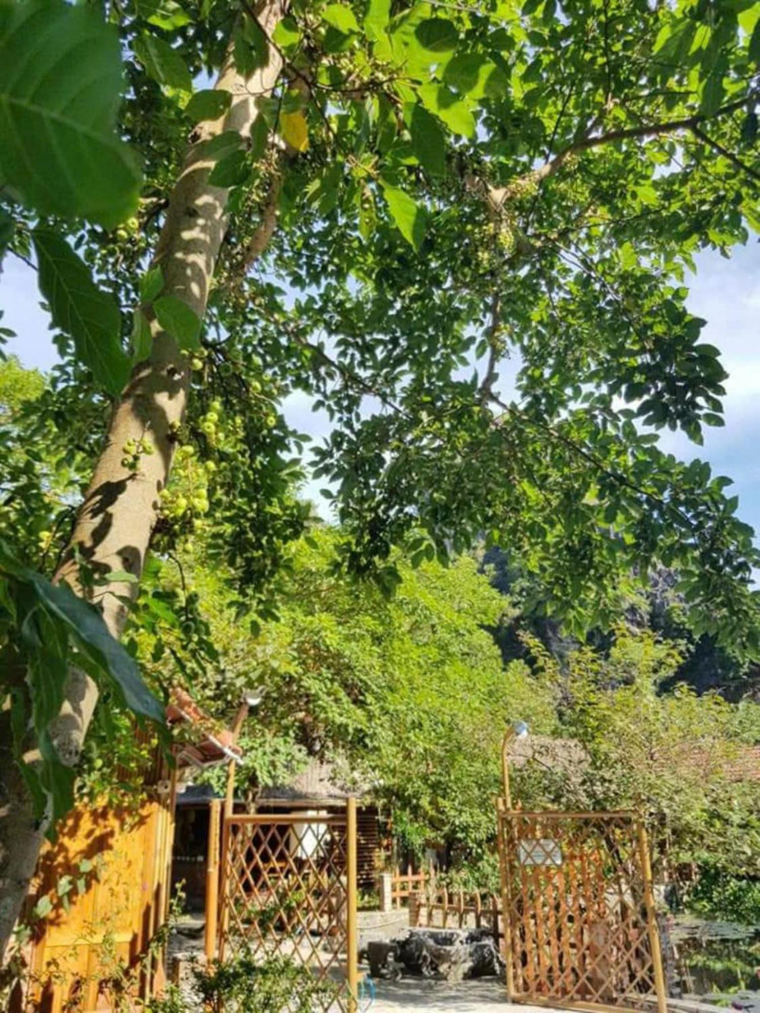 Hoalu Ecolodge Homestay Ніньбінь Екстер'єр фото